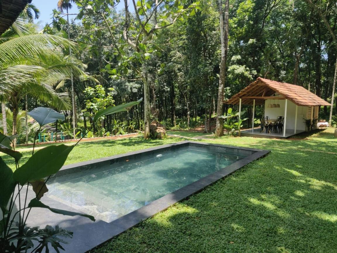 Pool Villa - The Humming Trees, Pala Lalam Экстерьер фото